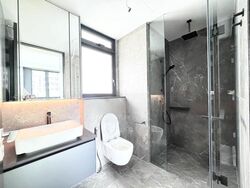 Irwell Hill Residences (D9), Apartment #543339361